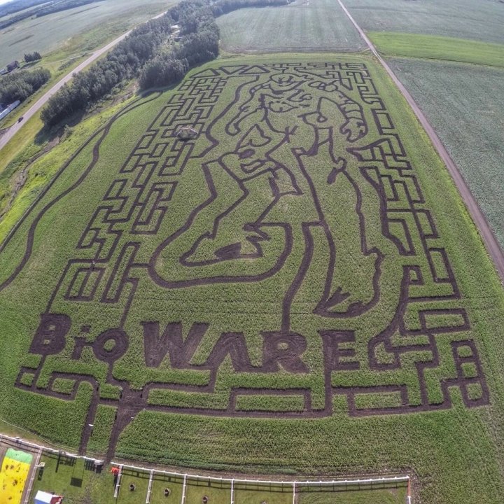 BioWare, Edmonton Corn Maze team up to create giant maze design