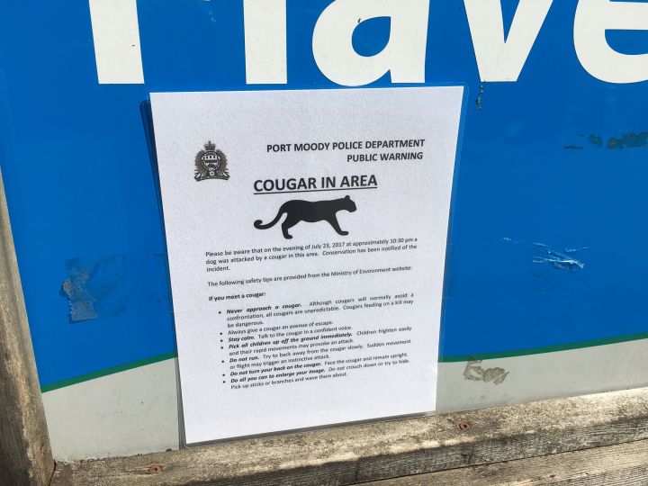Port Moody Police have issued a public warning after a cougar sighting.