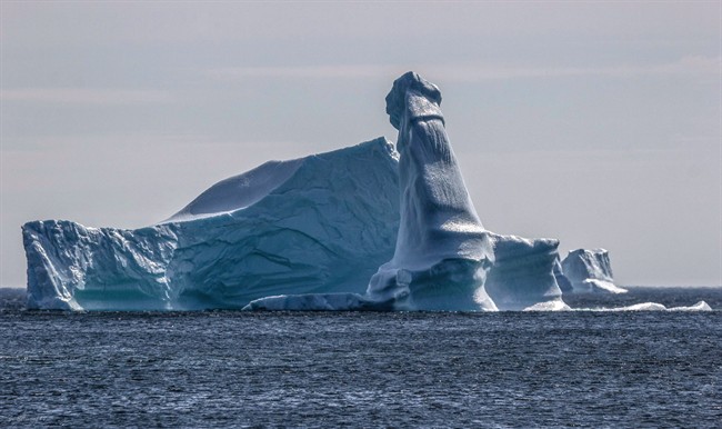 An iceberg is seen near L'Anse aux Meadows, Newfoundland in this undated handout photo. Jamie Ellison's botanical tour of northern Newfoundland provided a whole different kind of nature lesson when he looked out to a local bay and saw an iceberg with a distinctly masculine flourish.  