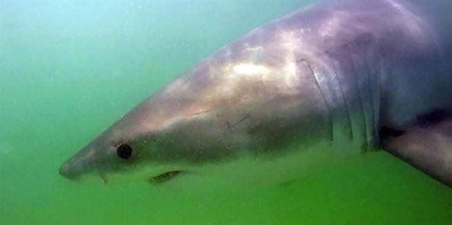 Here’s what you were talking about this week on social media - image