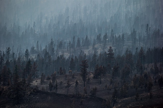 Smoke rises from trees burned by wildfire on a mountain near Ashcroft, B.C. in this file photo.