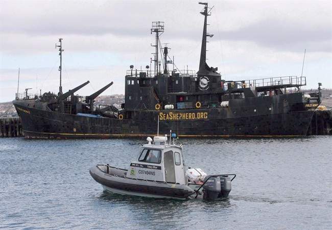 A Canadian Fisheries and Oceans patrol boat passes by the Sea Shepherd Conservation Society vessel Farley Mowat on Monday, April 14, 2008, in Sydney, N.S.