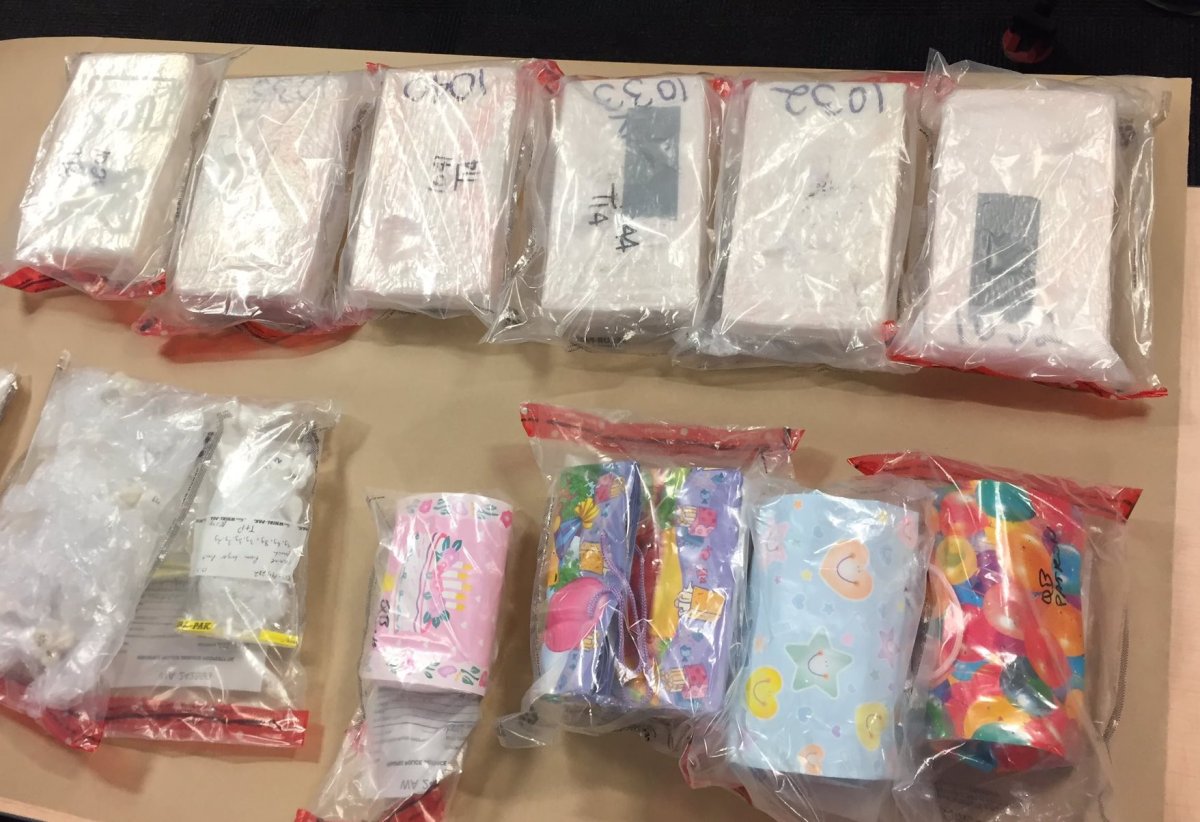 Winnipeg police seized nearly 8 kilograms of cocaine while carrying out a search warrant on Friday in Tyndall Park.