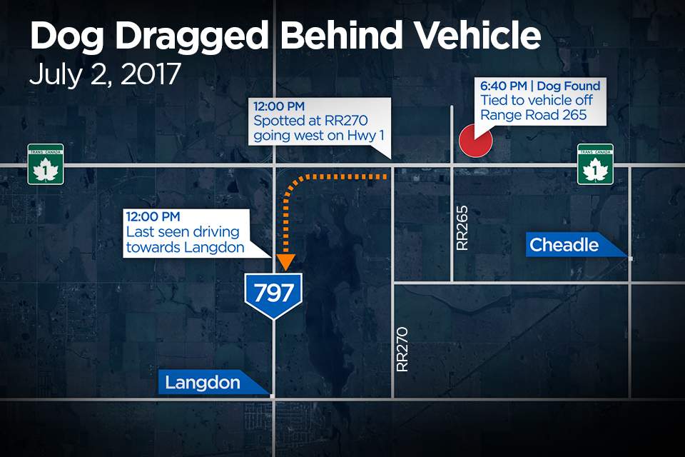 Charges pending after dog dragged behind car on Alberta highway ...