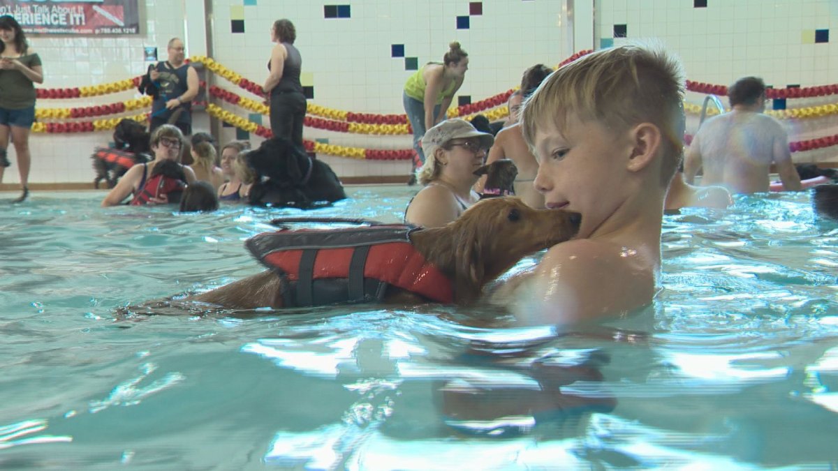 Edmonton’s Scona Pool goes to the dogs Edmonton Globalnews.ca