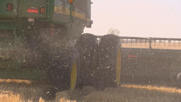 Many Saskatchewan farmers are asking for much need rain to fall on arid and parched land and fields.