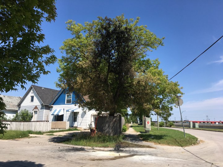 Major Crimes Unit investigating vehicle fire in Winnipeg’s West End