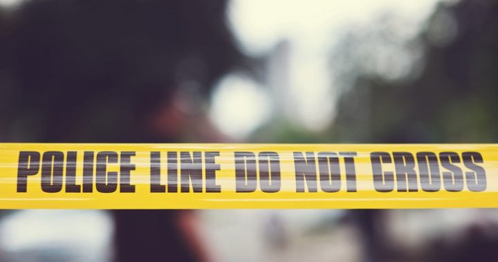 Pictou county man killed in single-vehicle crash in Alma, N.S. – Halifax | Globalnews.ca