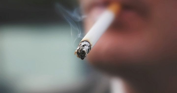 hond analoog beha Raising the legal smoking age in Canada is 'inevitable': advocate -  National | Globalnews.ca