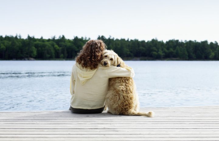 A study has found why dogs are so friendly.