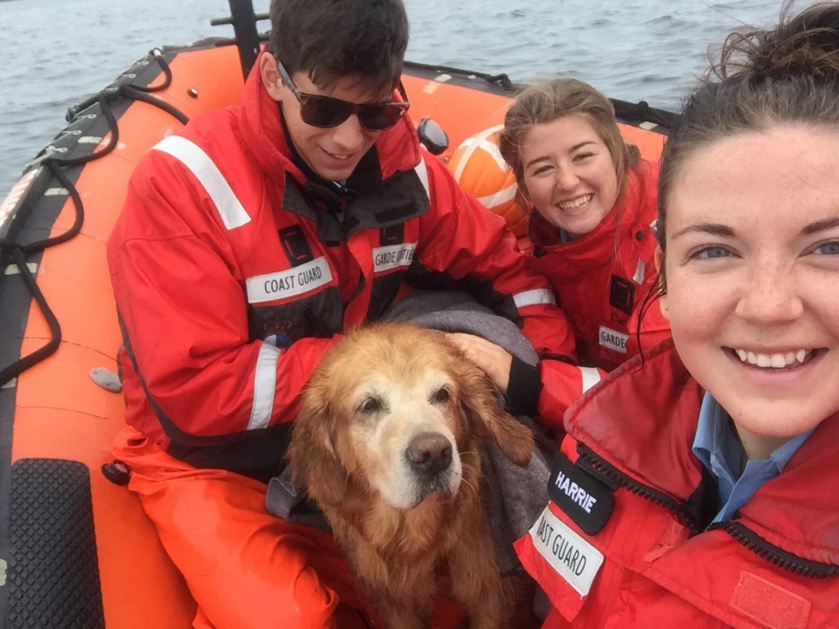 Breagh Harrie, front right, Bronwyn Forsythe, back right, and Harlow Lachance take a photo with a dog they rescued off Conrad's Beach, N.S.