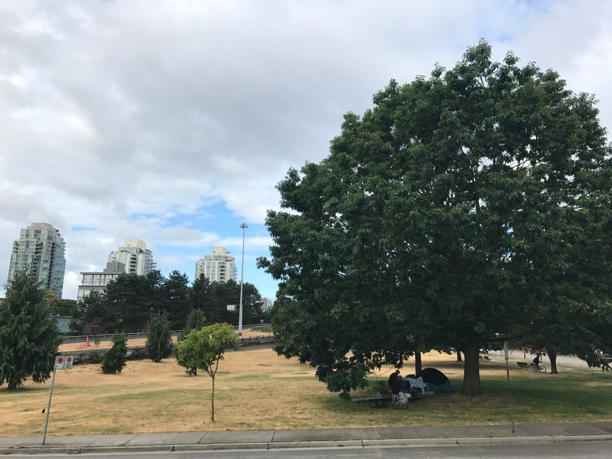 Grass area where the incident took place on June 29, 2017. 