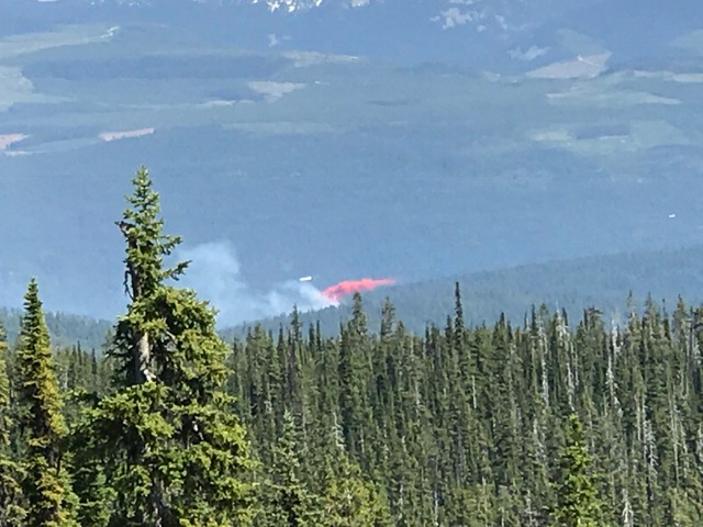 Aircraft were used to fight the flames when fire was first reported in the Big White area on Wednesday. 