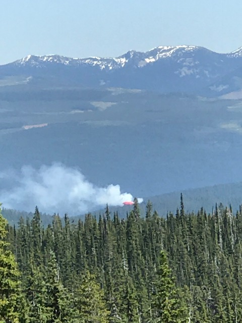 Small forest fire 10 kms southeast of Big White - image