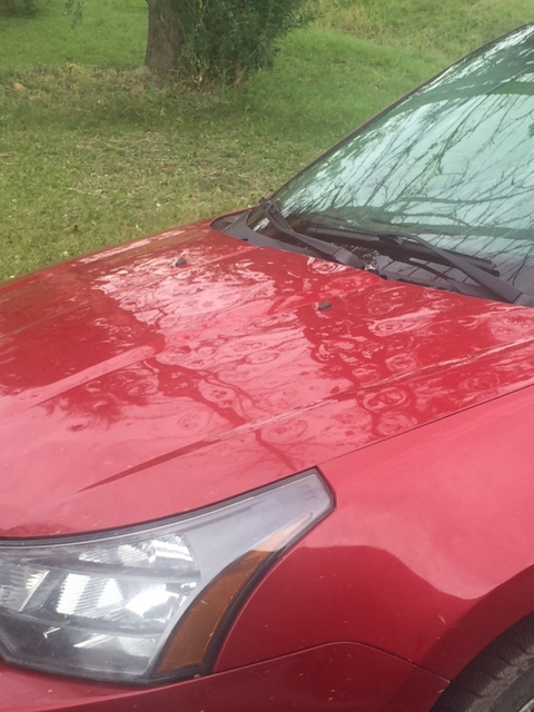 Hail damaged vehicles in Pouce Coupe, B.C.