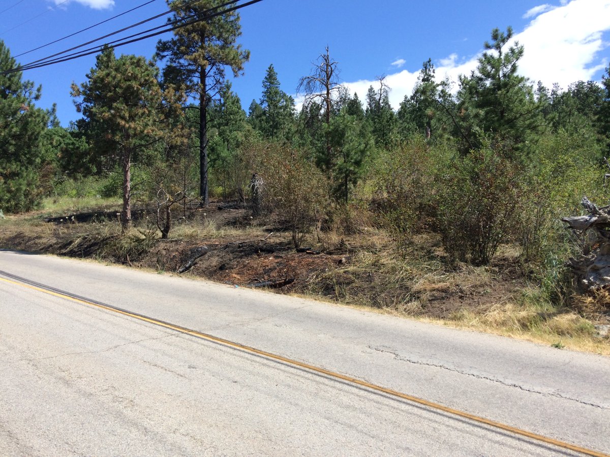 Grass fire extinguished along Carrs Landing Road in Lake Country.