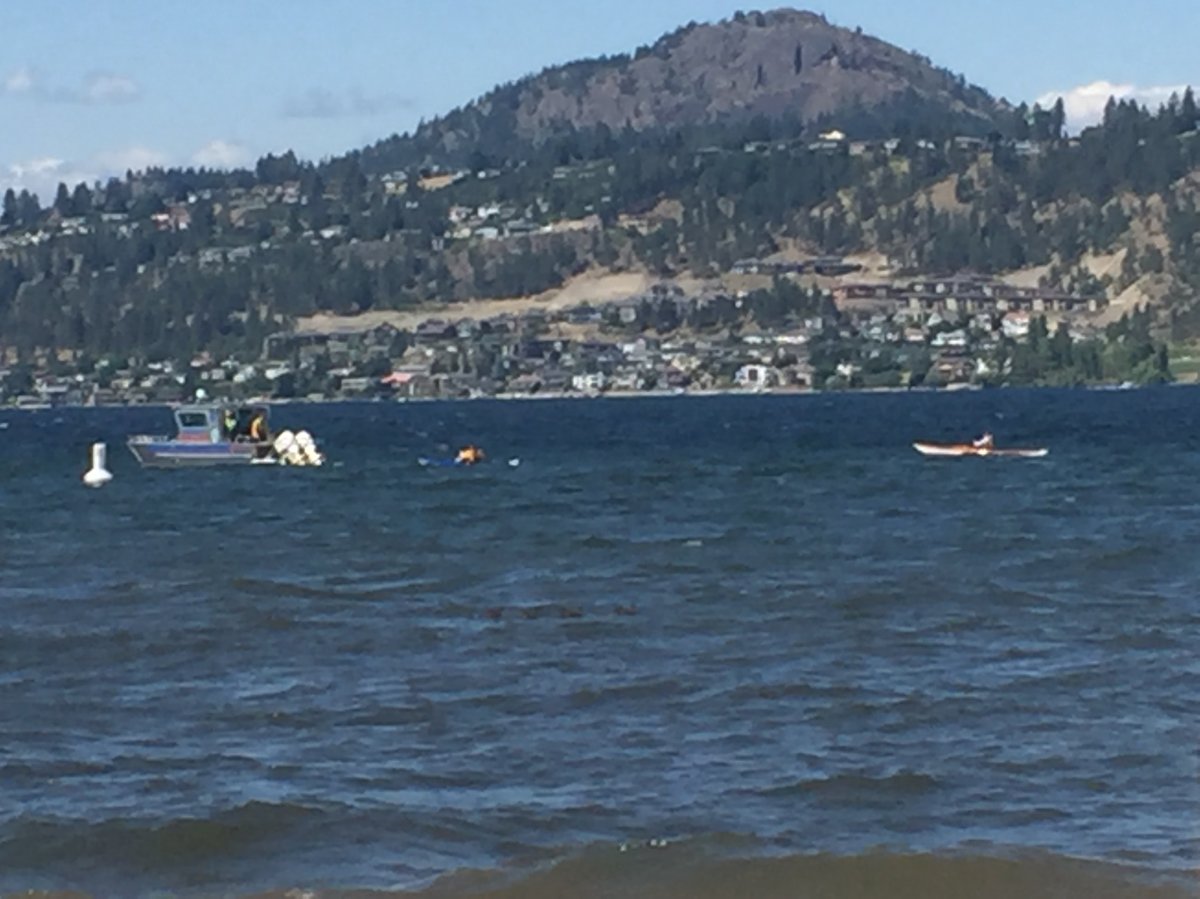 Search for missing swimmer in Okanagan Lake - image