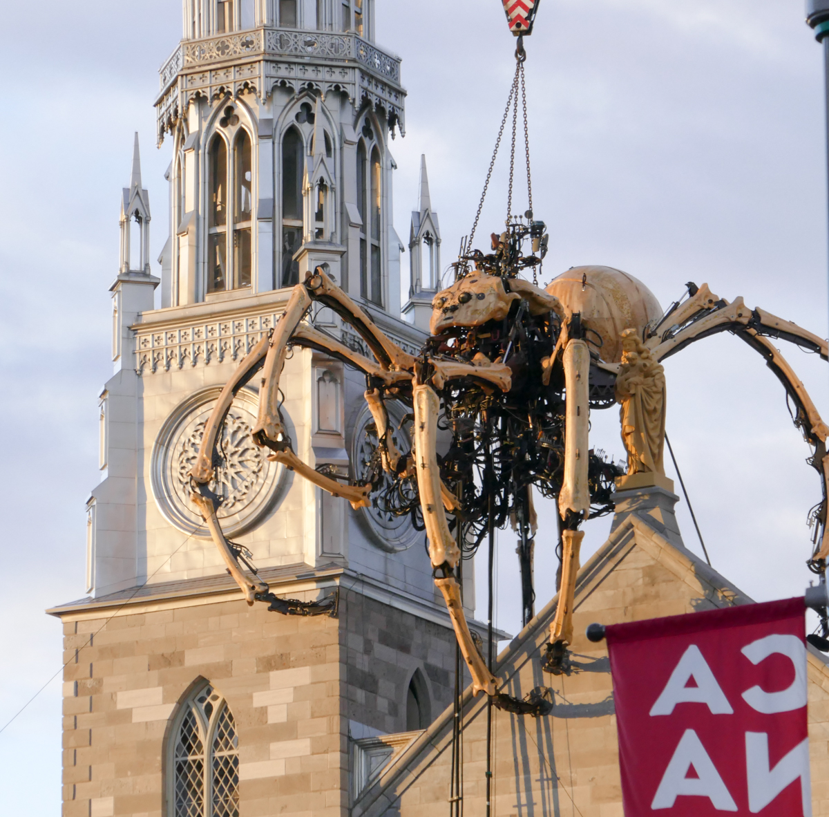 Kumo is pictured just before she woke on Thursday night in Ottawa.