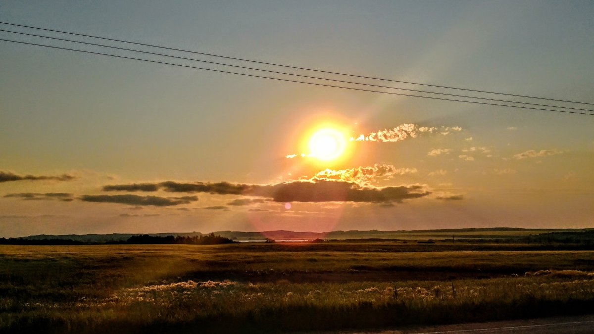 July 28: This Your Saskatchewan photo was taken by Annette Oleksyn Wylie near Wakaw.