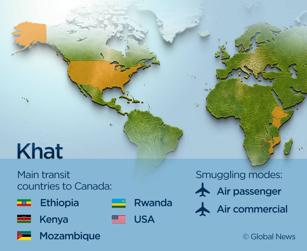 These 9 maps show where Canada’s illegal drugs are coming from