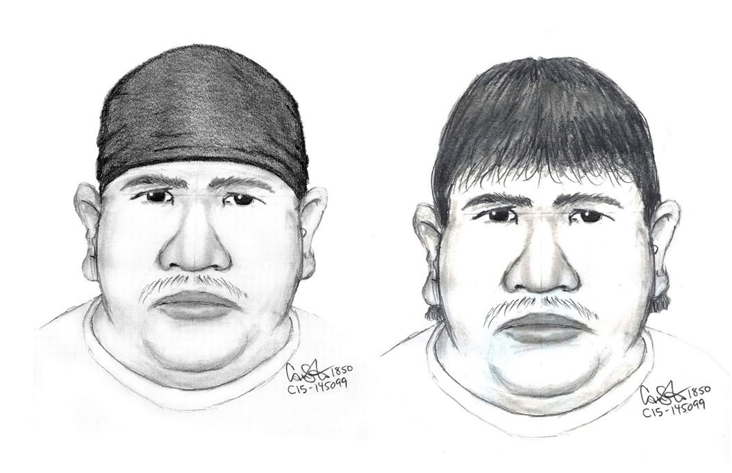 Winnipeg police released this composite sketch of the suspect in the disappearance of Thelma Krull.