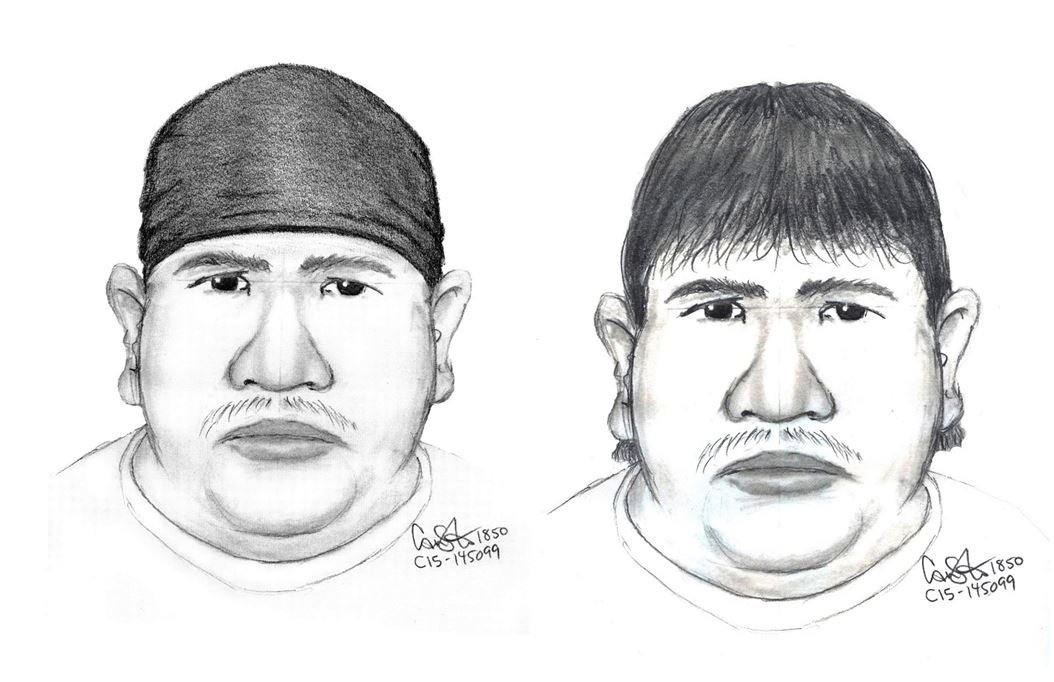 Winnipeg police released this composite sketch of the suspect in the disappearance of Thelma Krull. 