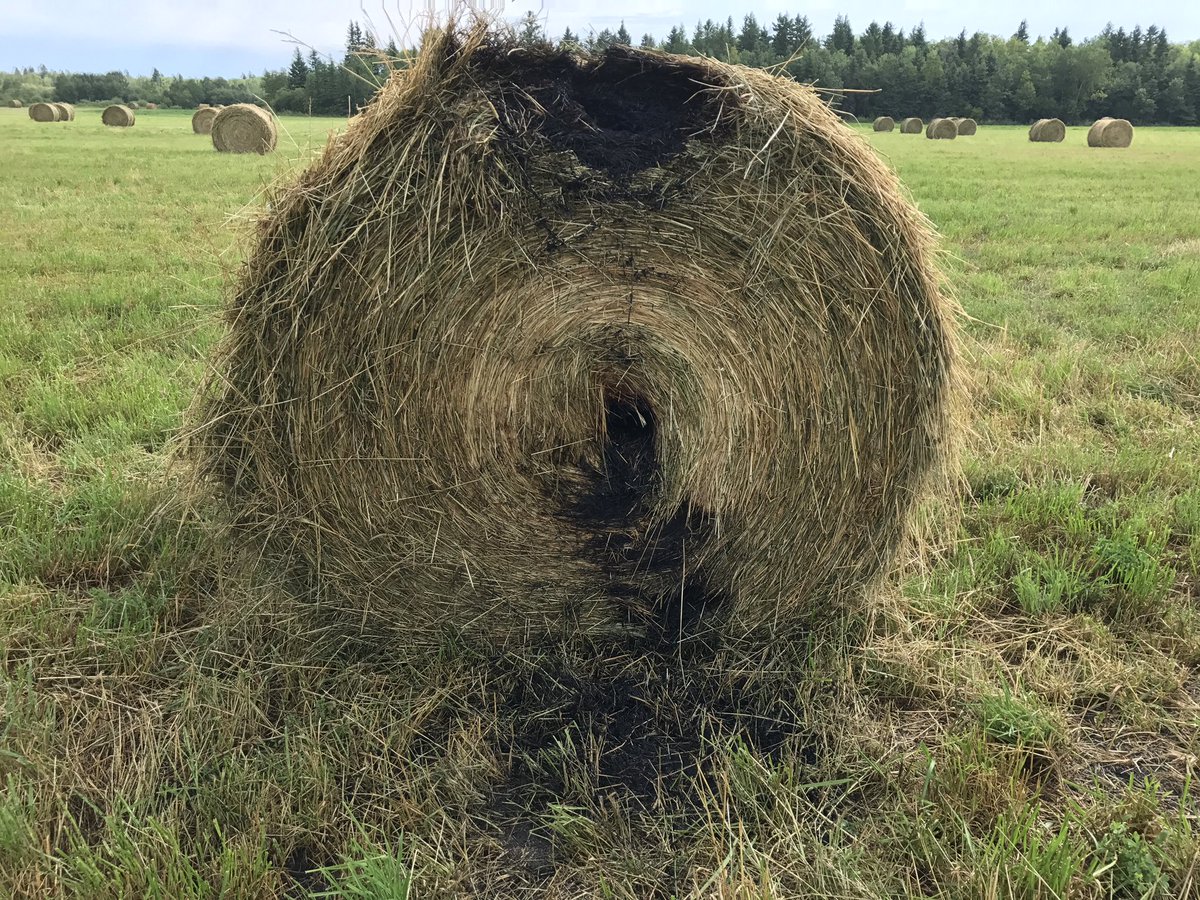 This picture was shared to Twitter after lightning shot through this hay bale. 