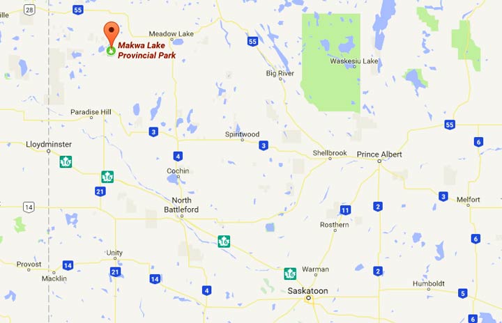 Loon Lake Saskatchewan Map Dangerous Animal Advisory Ended In Makwa Lake Provincial Park - Saskatoon |  Globalnews.ca