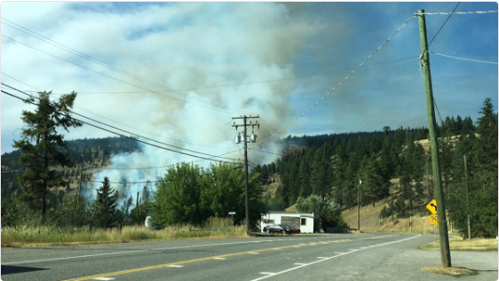 Wildfire between Vernon and Kamloops prompts state of emergency - image