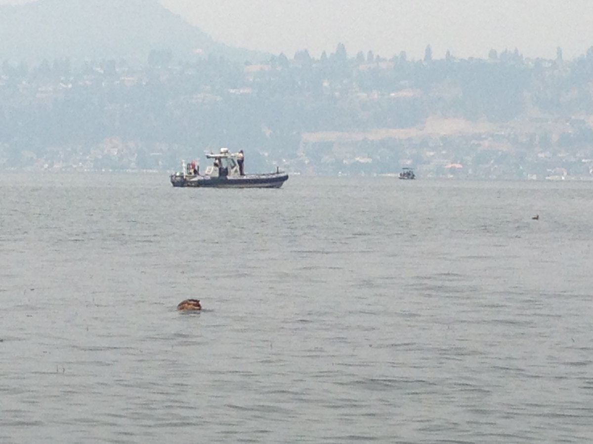 Search ends for missing swimmer on Okanagan Lake - image
