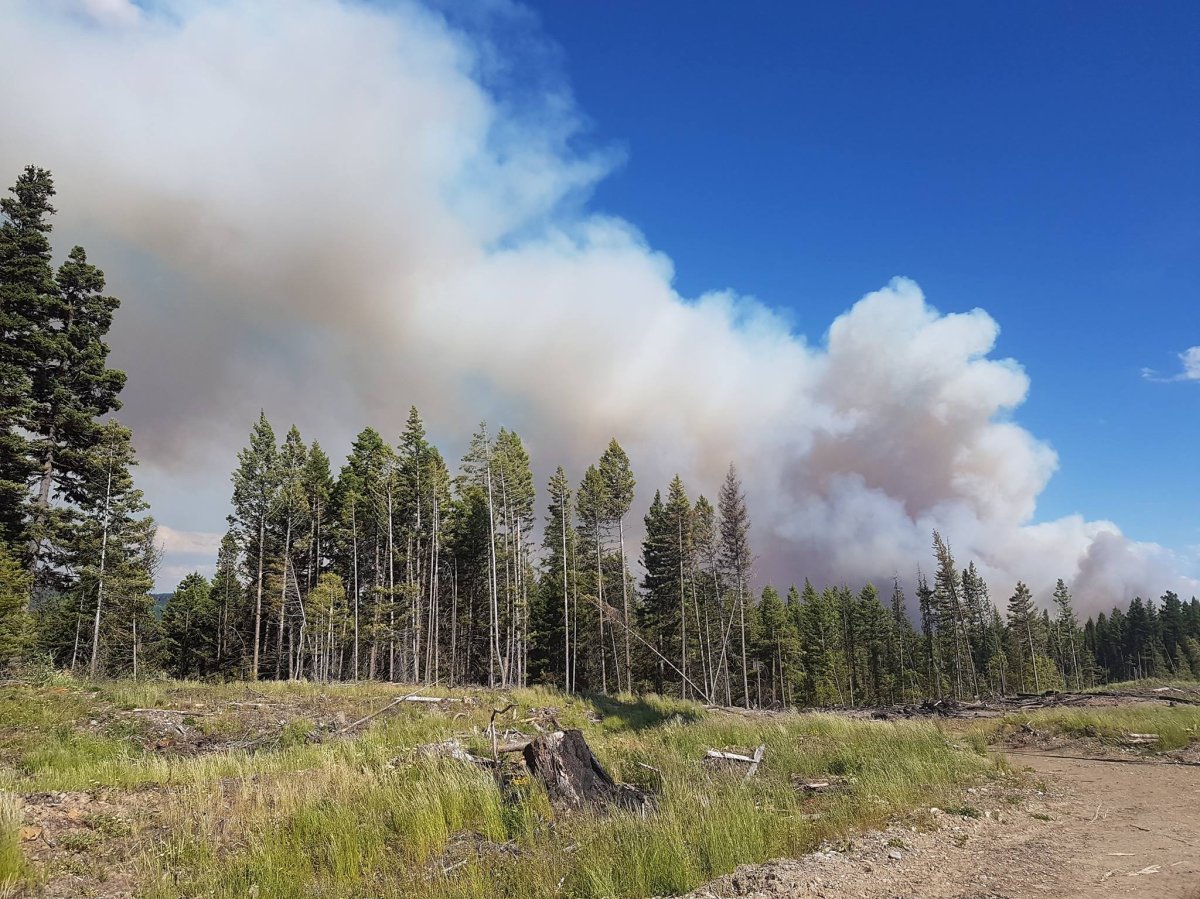 Five new B.C. wildfires flare up west of Takla Lake, north of Fort St ...