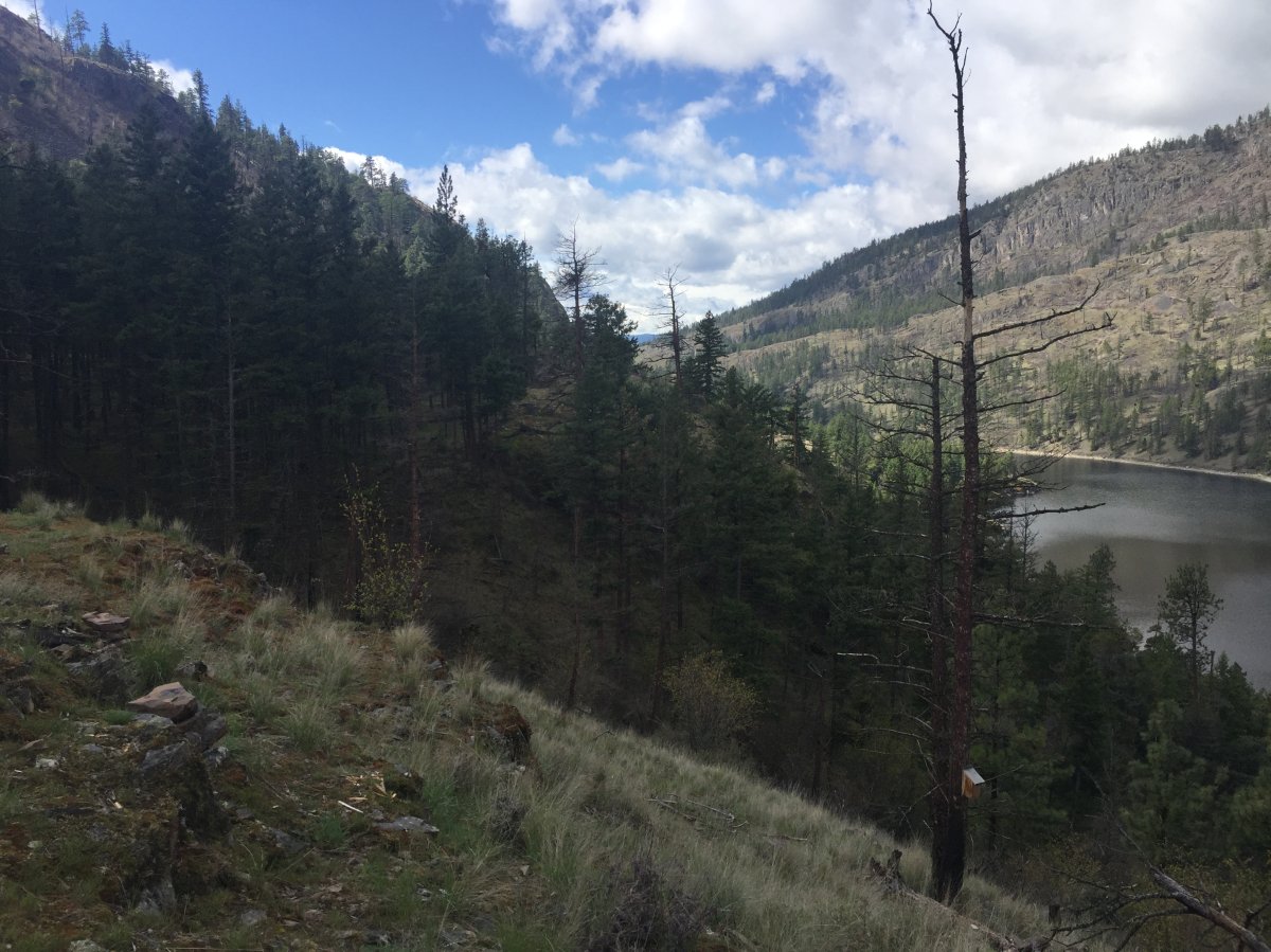 Rose Valley Regional Park is one of numerous parks to close in central Okanagan due to extreme fire hazard. 