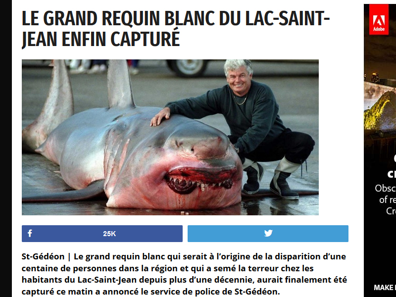 This great white shark was caught somewhere, but not in Lac-St.-Jean or Lake Michigan.