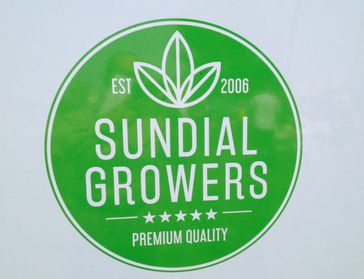 Sundial Growers