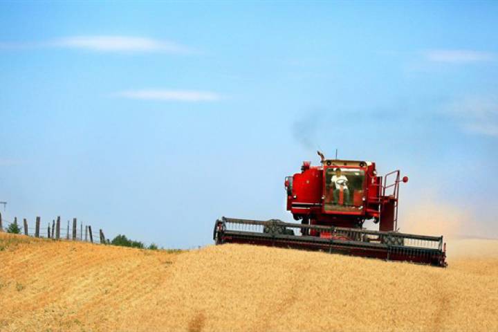 Manitoba producers are optimistic about their 2020 harvest after a year that was a little too windy and wet for their liking at times.