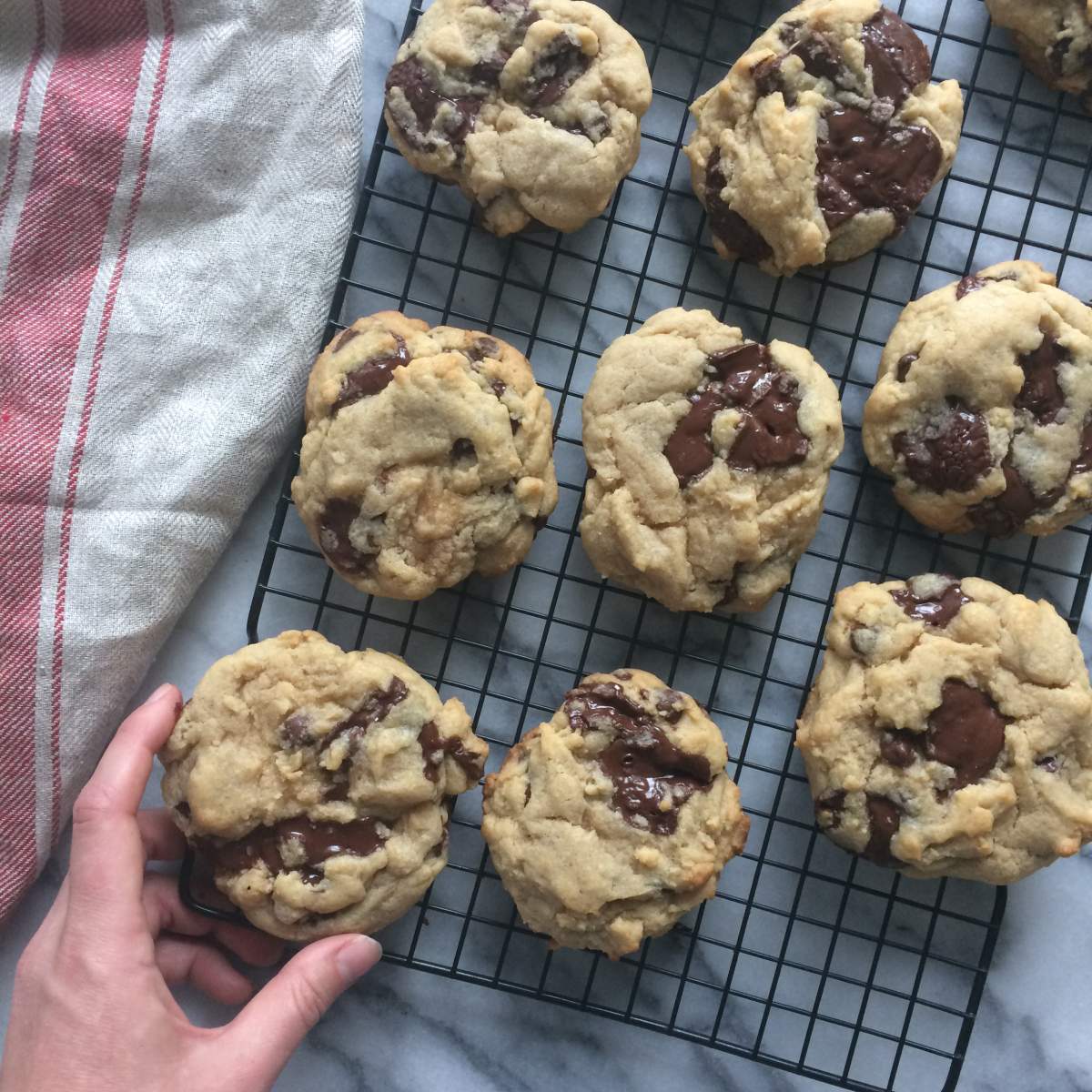 Texas Sized Chocolate Chunk Cookies.