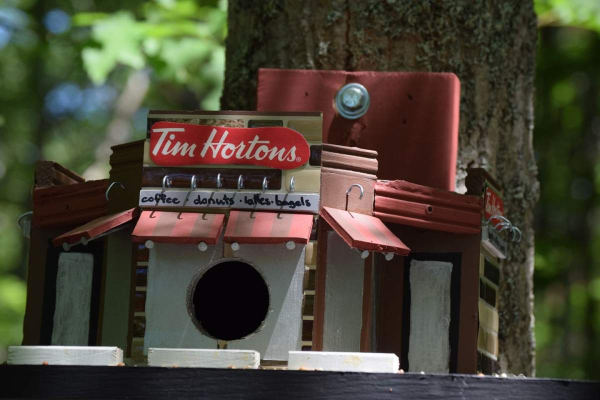 This bird house in Shubie Park has been drawing attention on social media for it's likeness to Canada's favourite coffee shop.