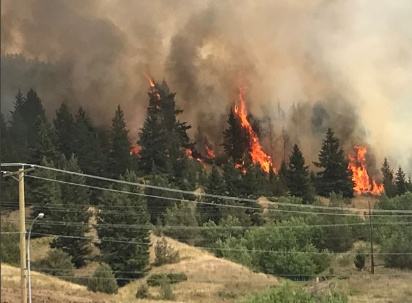 File photo. The fire near Williams Lake.