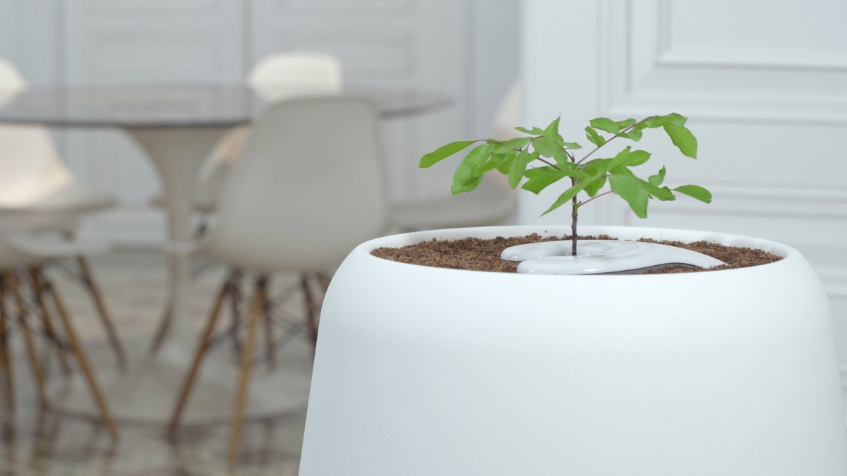 Don’t want to be buried or cremated? 5 funeral and burial alternatives