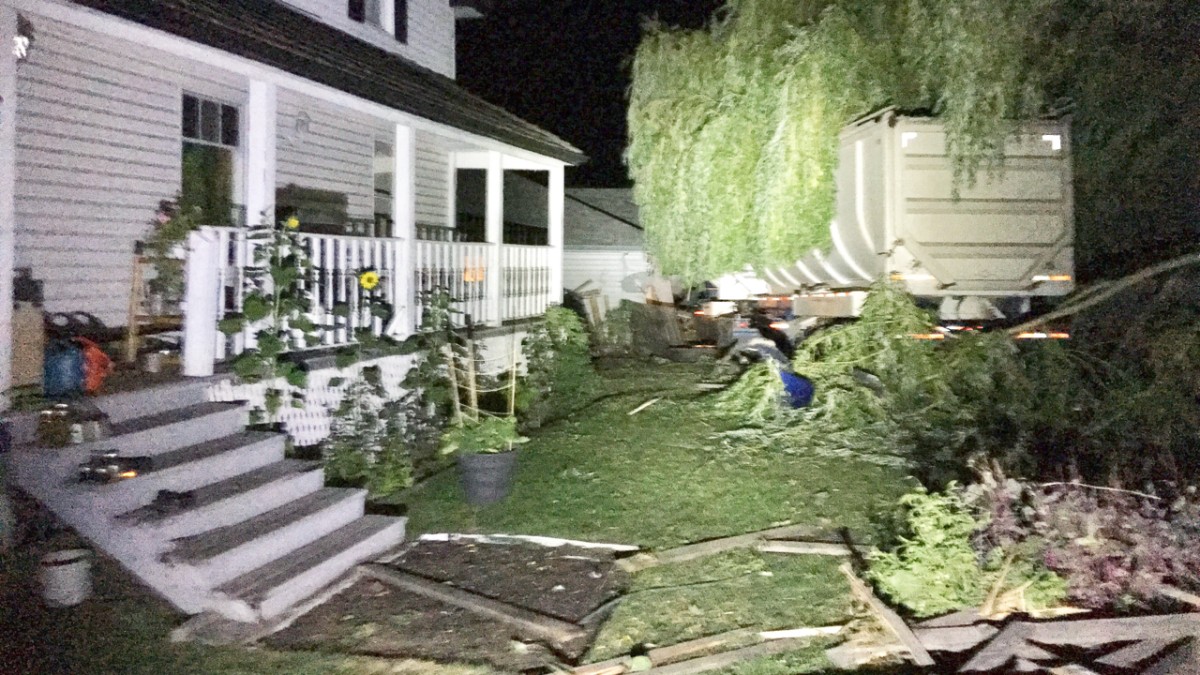 Semi-truck hits cow, crashes into house on Highway 97A in Armstrong, B.C. - image