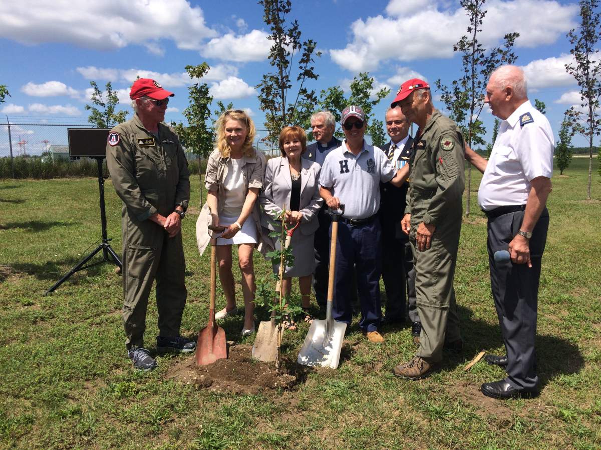Replica WWI fighters on display this weekend at The Spirit of Flight Aviation Museum - image