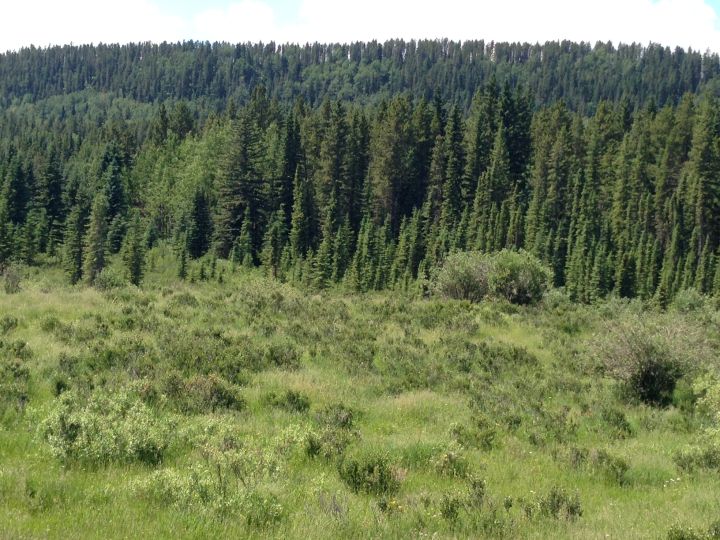 The Harold Creek Water Valley area