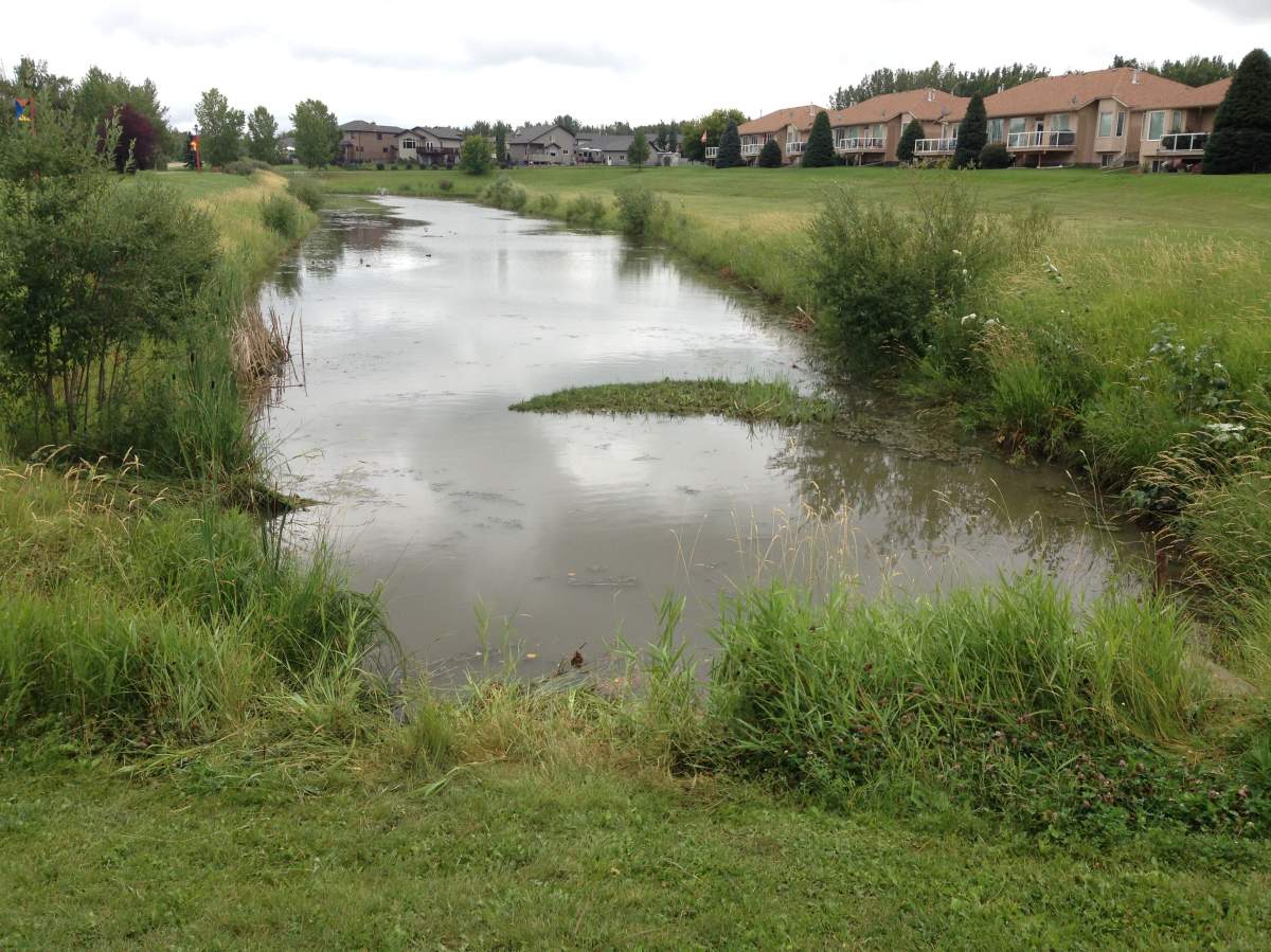 A 21-year-old man has died following a workplace injury involving a lawnmower near a pond in Drayton Valley.