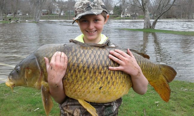 This April 22, 2017 photo shows Chase Stokes, then 10, holding a giant carp, weighing 33.25 pounds, in Ferrisburgh, Vt.