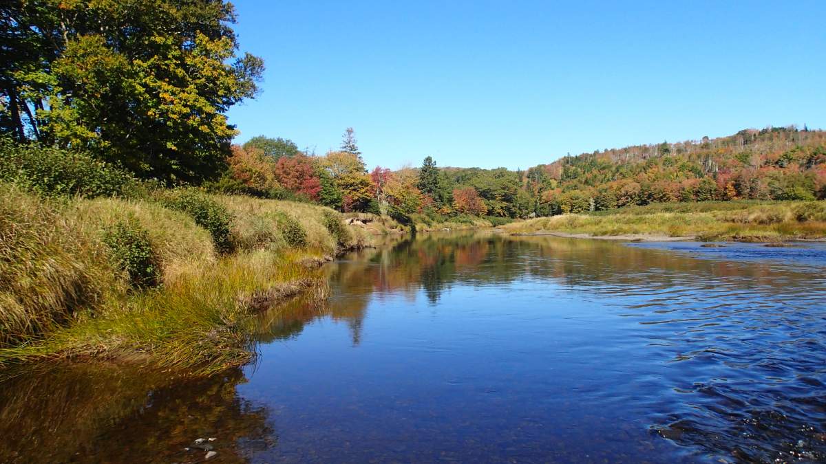 A photo of the Mitchell's Pool Conservation area. 