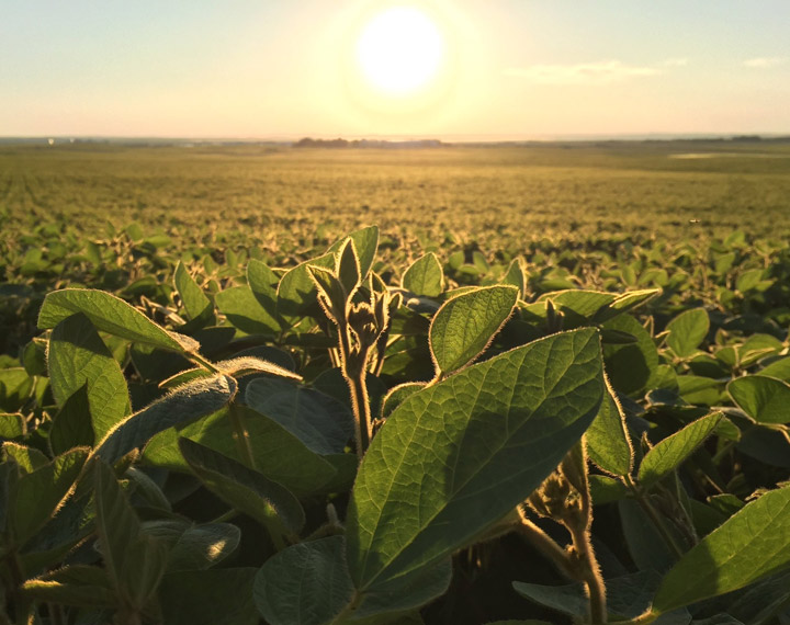 Robert Makowsky took this Your Saskatchewan photo for Aug. 11 near Bruno.