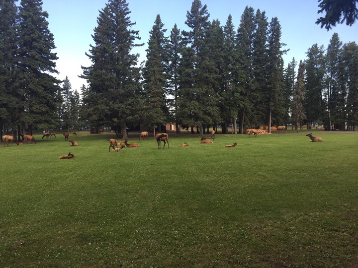 Terry Stark took the August 22 Your Saskatchewan photo at Waskesiu