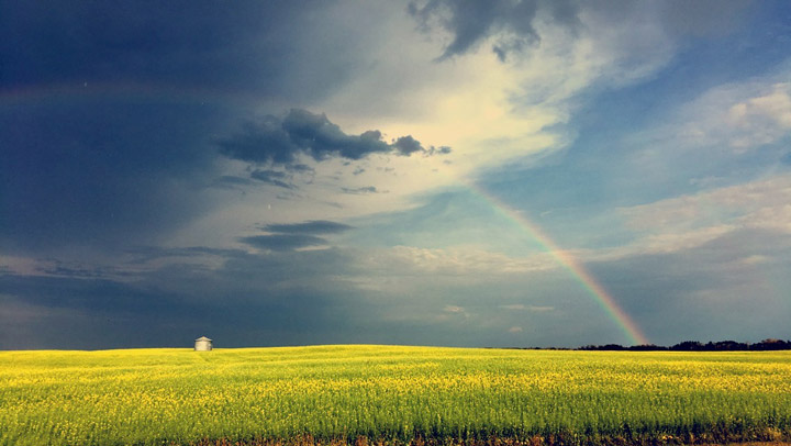 This Your Saskatchewan photo for August 23 was taken in Wadena by Donalee Olynick.