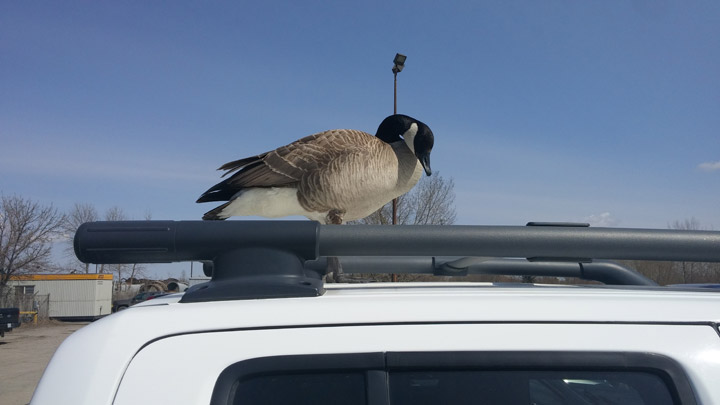 Jenine Boser took this Your Saskatchewan photo for Aug. 29 in Regina.