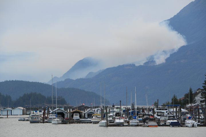 A fire is burning near Harrison Lake.